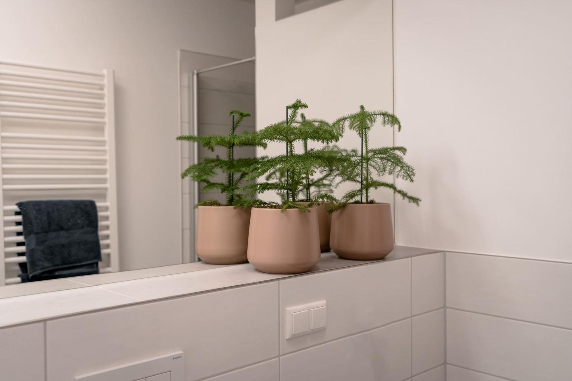 Ferienwohnung Altstadt 레겐스부르크 외부 사진